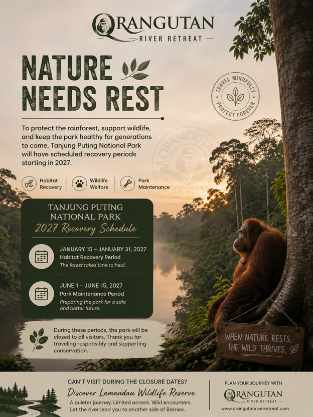 Tanjung Puting’s Time to Rest: Planning Your Borneo Journey in 2027