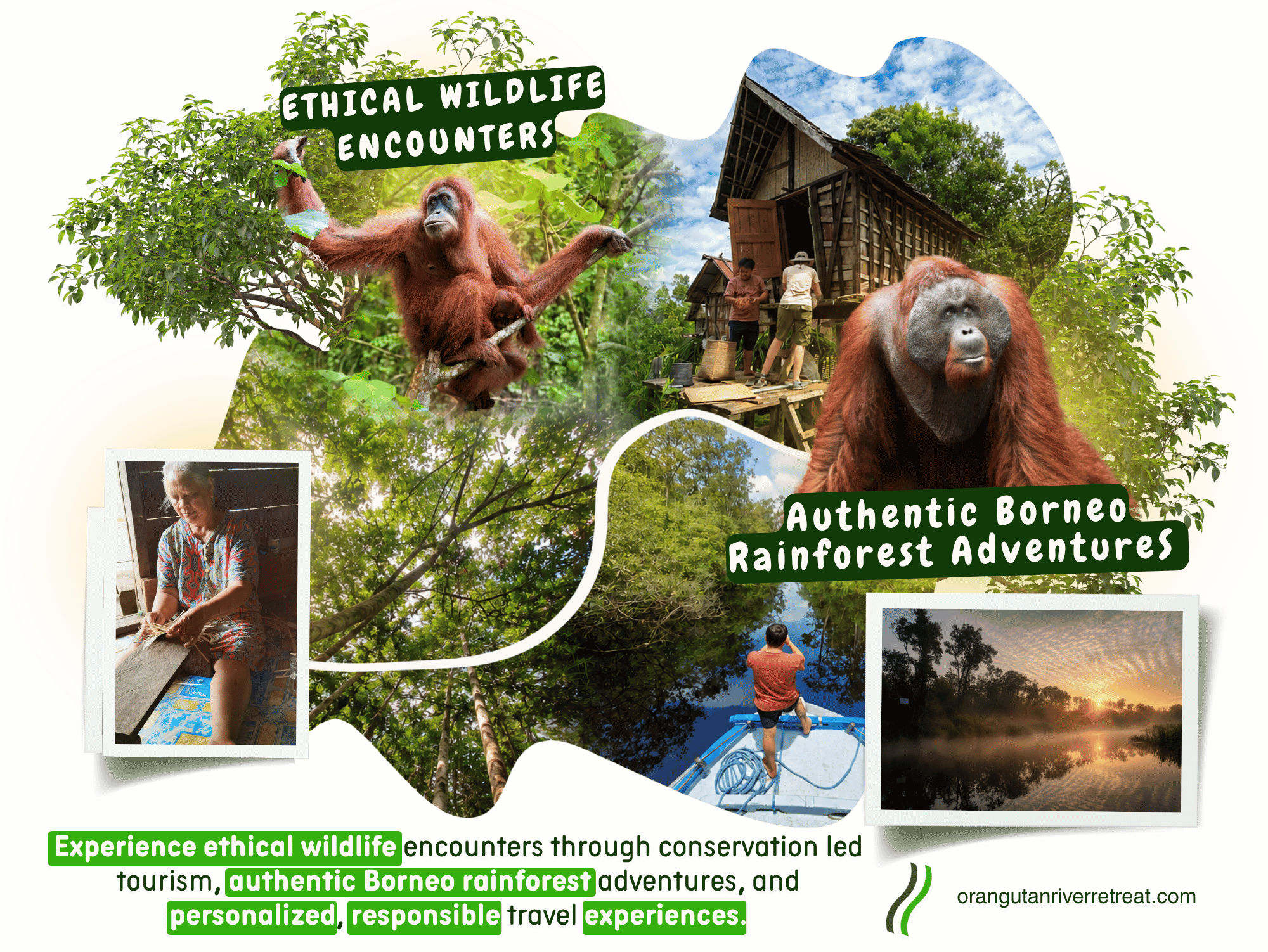 Orangutan River Retreat | Exclusive Orangutan & Borneo Rainforest Tours